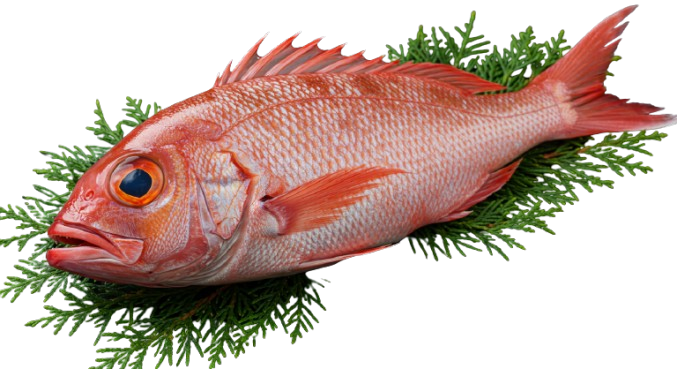 Image_fx__1_-removebg-preview