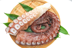 たこ_ダミー-300x201